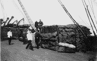 На палубе броненосного крейсера "Громобой", 1904-1905 годы