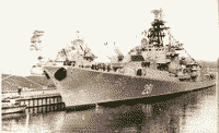 Большой противолодочный корабль проекта 57-А "Жгучий"